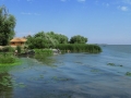Imagini Sfantu Gheorghe | Falerie Foto Delta Dunarii
